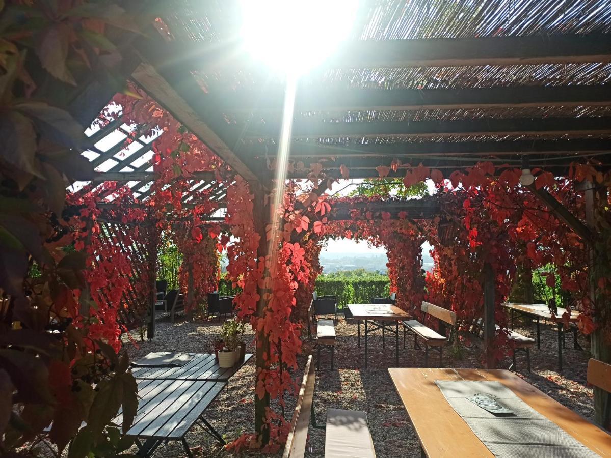 多瑙河畔克雷姆斯 Wirtshaus Leindl酒店 外观 照片